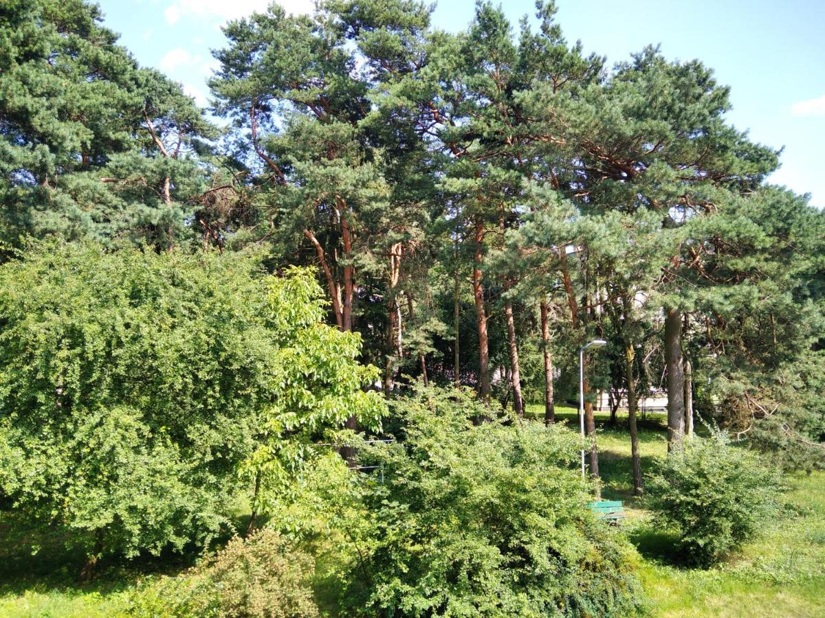 Apartament Gorka Zdroj Busko Zdroj Luaran gambar